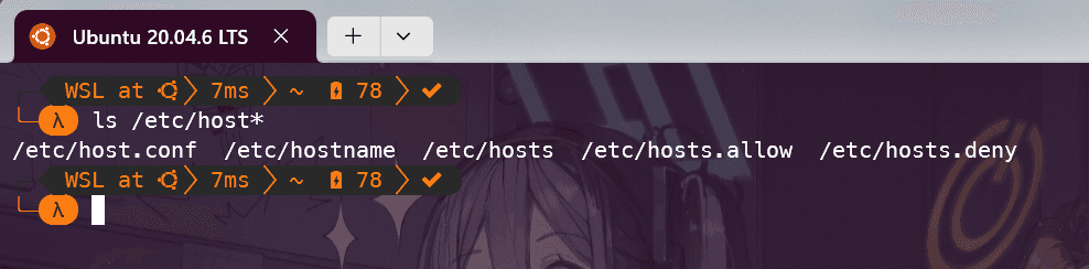 hosts file